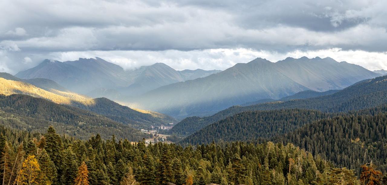 Вступление к экскурсиям