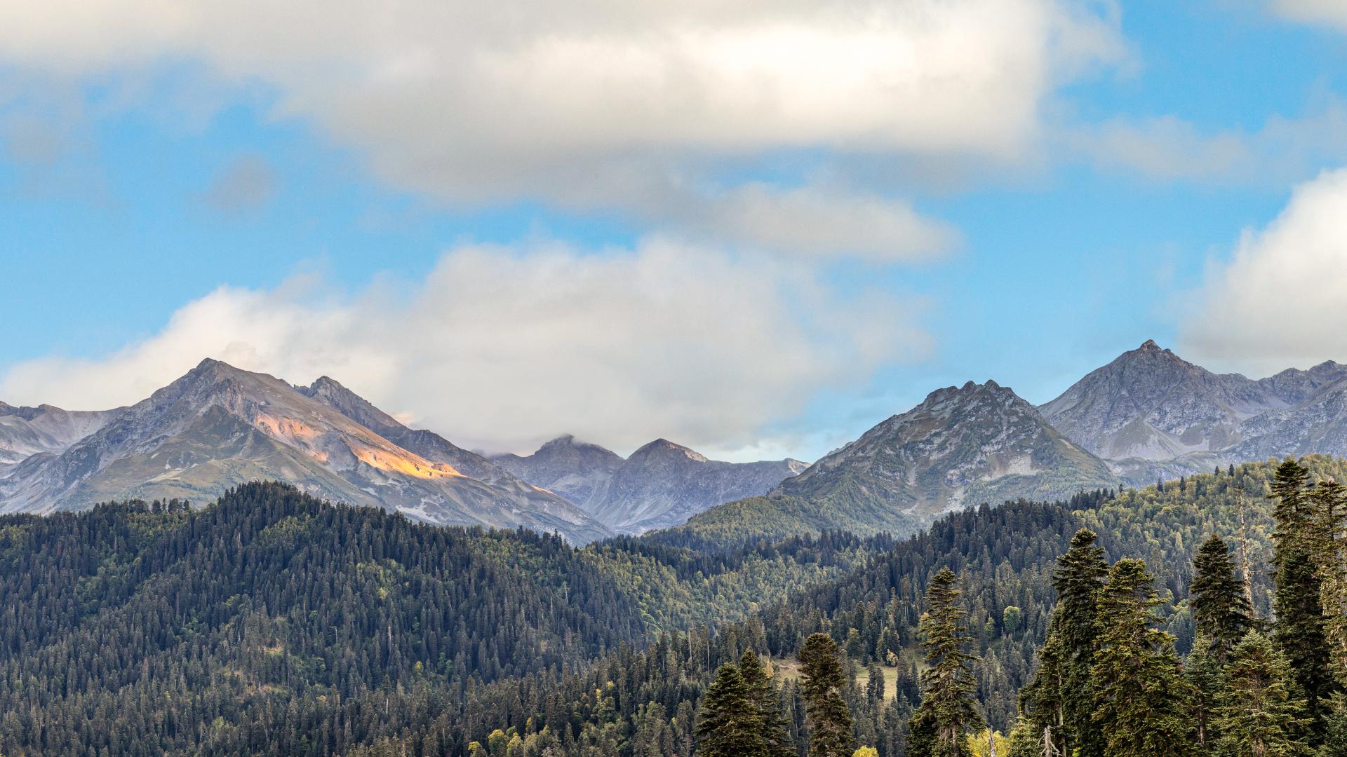 Лучшая цена